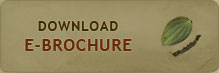 Download e-Brochure