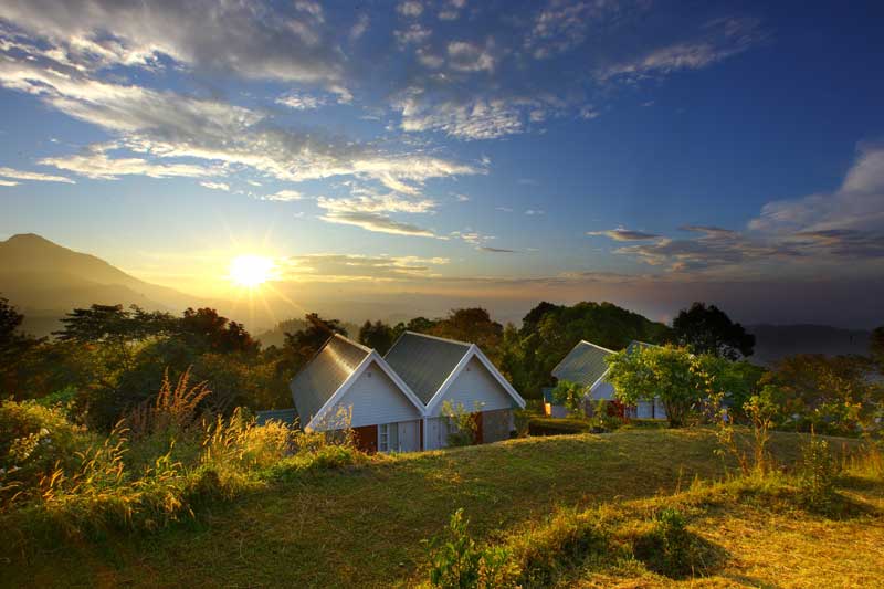 Ambady Estate :: Munnar