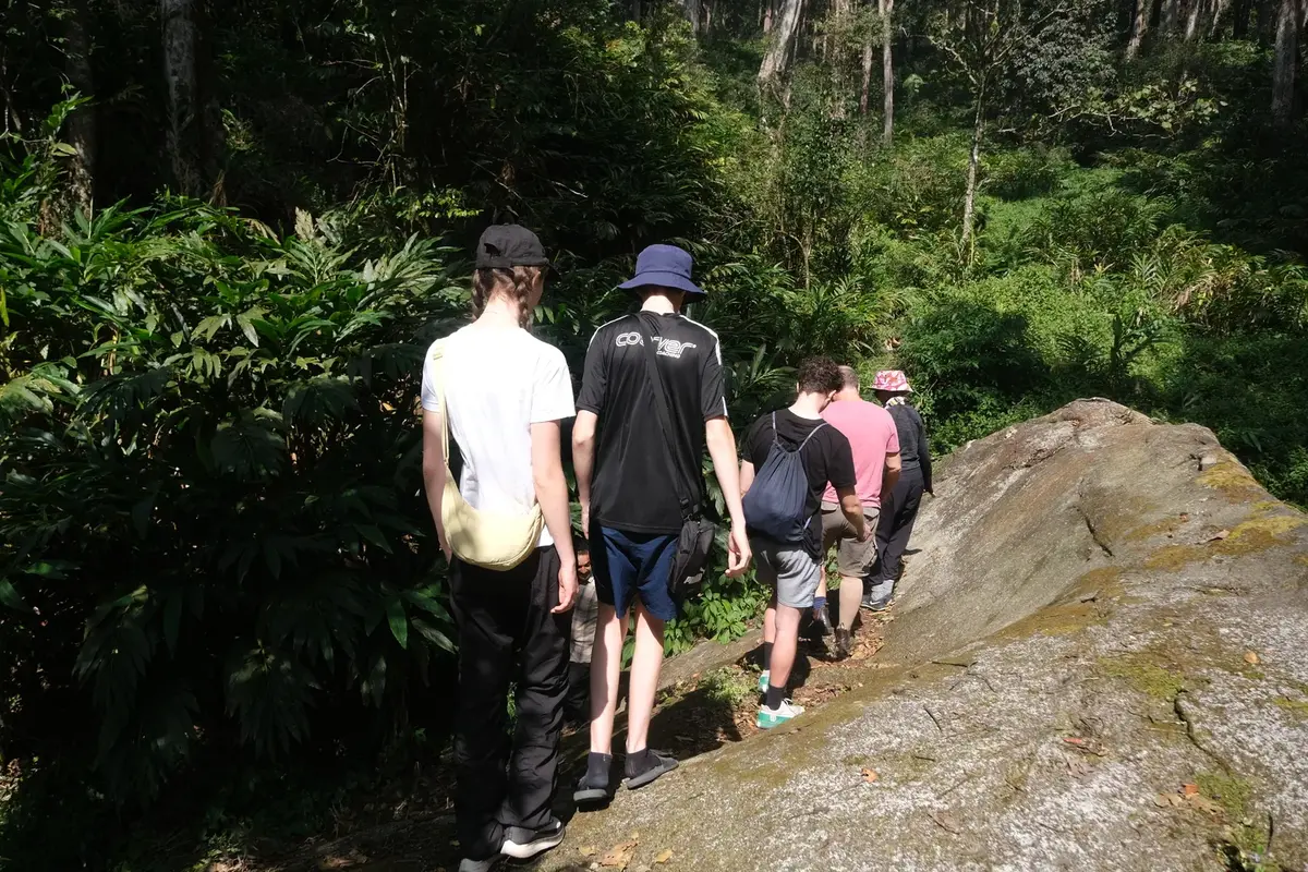 Soft Trekking Through the Cardamom Plantation