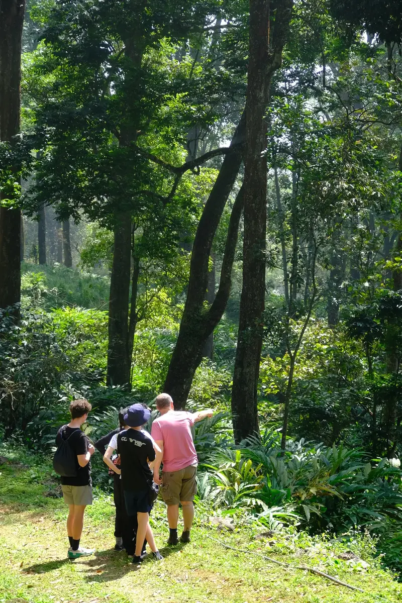 Guided Nature Walk in Munnar