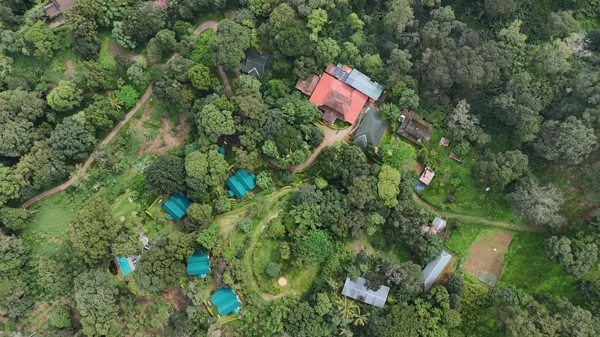 Cardamom Plantation Stay in Munnar: What to Expect