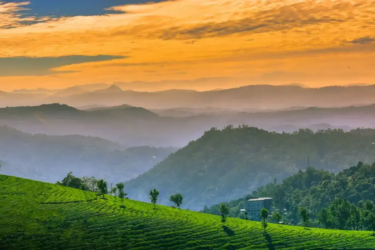 25 Best Places To See In Munnar: A Practical Guide for Your Trip 2026
