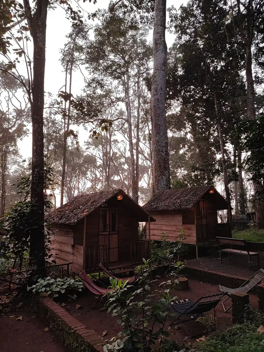 Kochi to Munnar