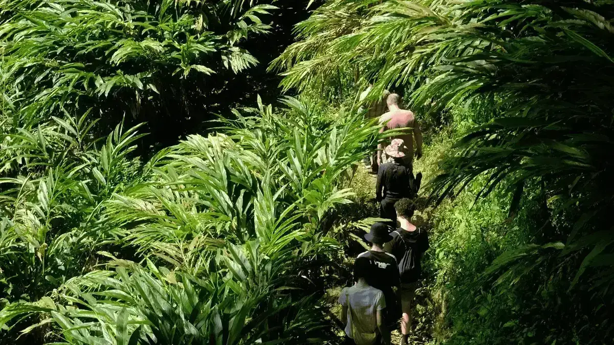 Best Time to Visit Munnar