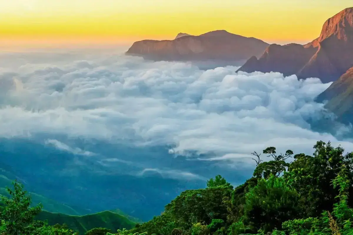 Munnar in 2 Days: What Can You Actually See Without Rushing?