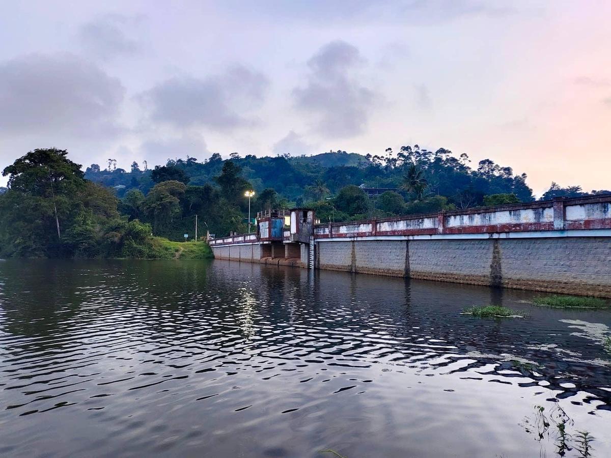 Sengulam Dam, Munnar