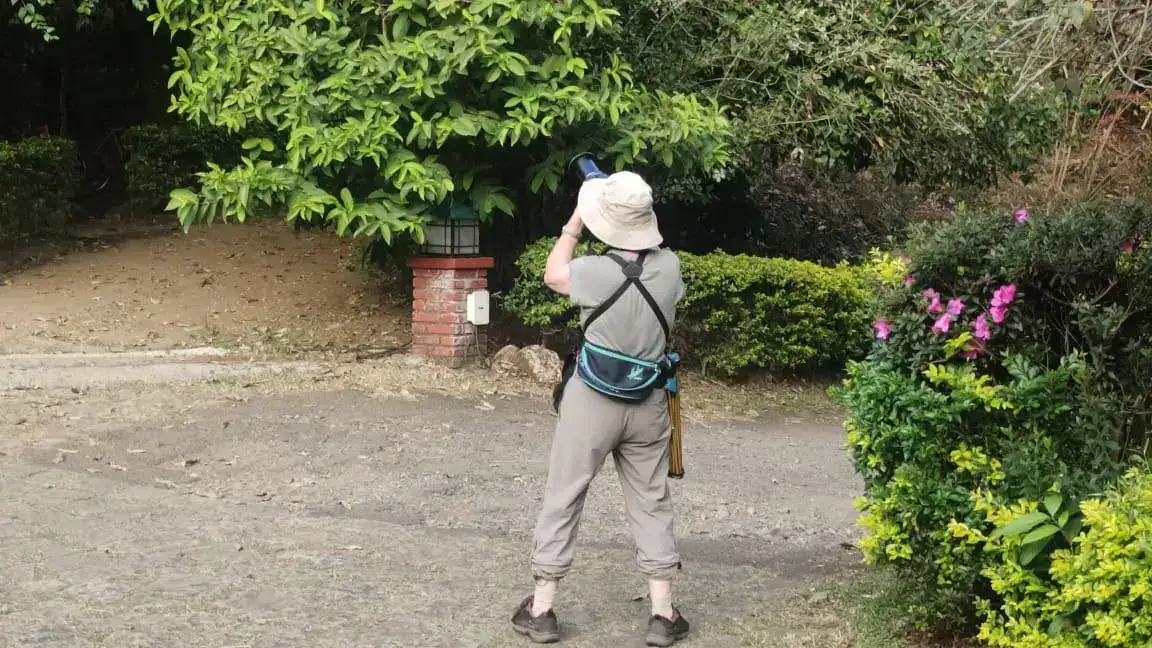 Birding Paradise